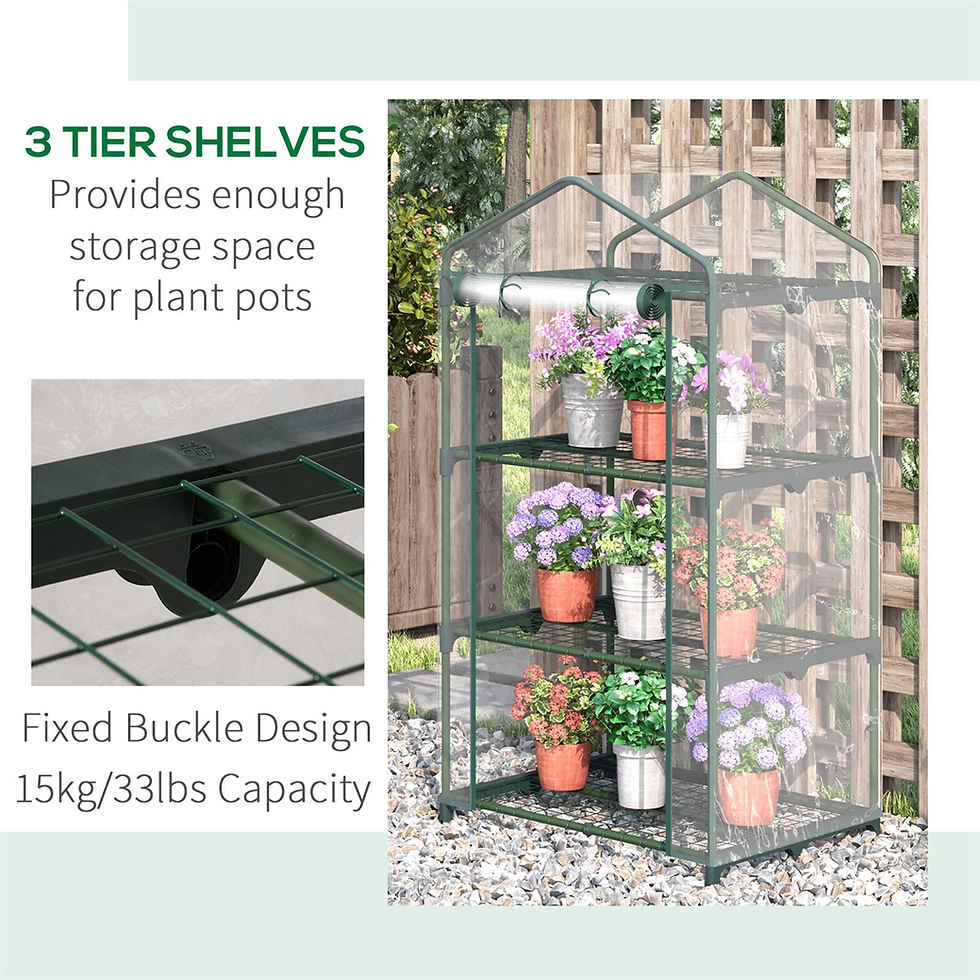 Thumbnail: Mini Greenhouse