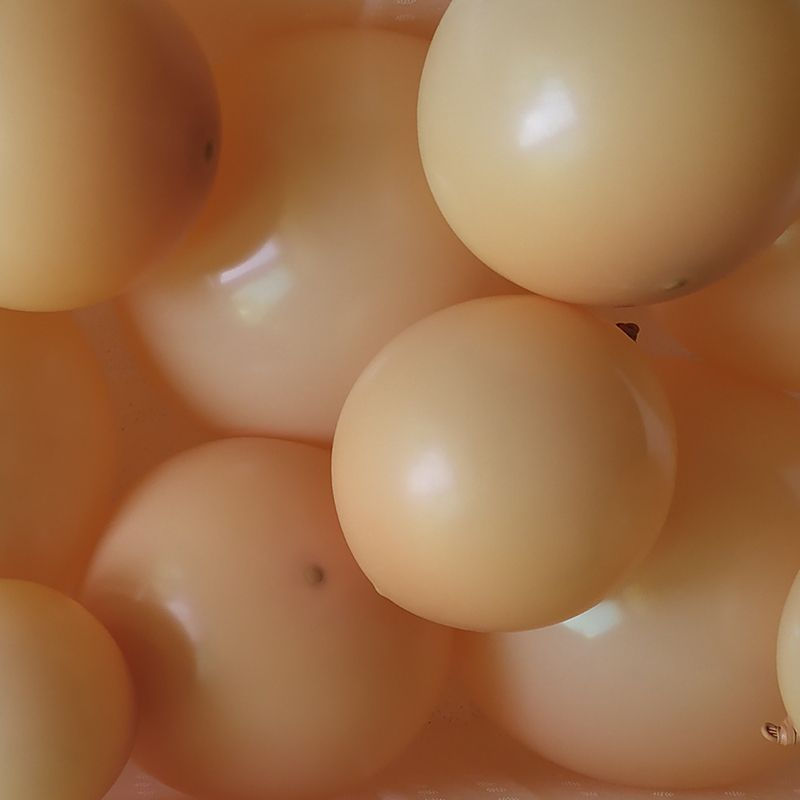 Thumbnail: Giant Matte Latex Balloons 5-36inch Candy Colour Decoration Novelty Gift