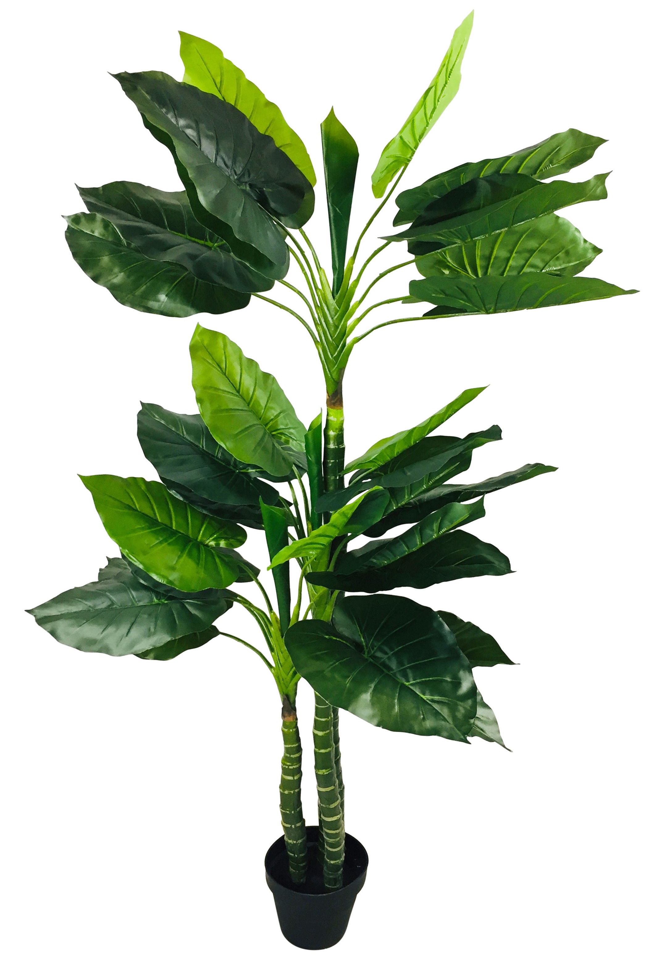 Artificial Taro Tree With 3 Trunks 150cm Shipping furniture UK