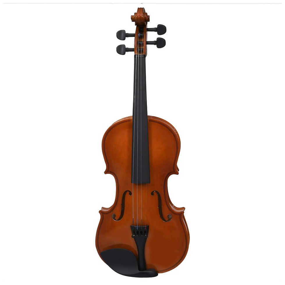 Thumbnail: vidaXL Violin Full Set with Bow and Chin Rest Dark Wood 4/4