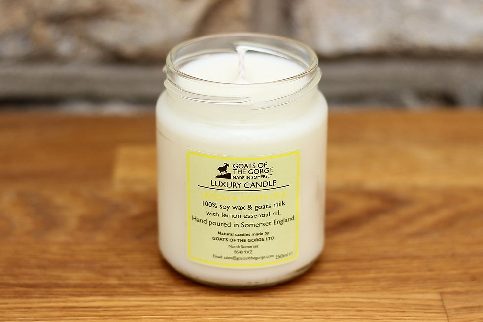 Thumbnail: Goats Milk Lemon Candle