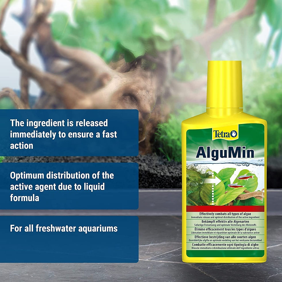 Thumbnail: AlguMin - Quickly Combats All Types Of Algae In The Aquarium