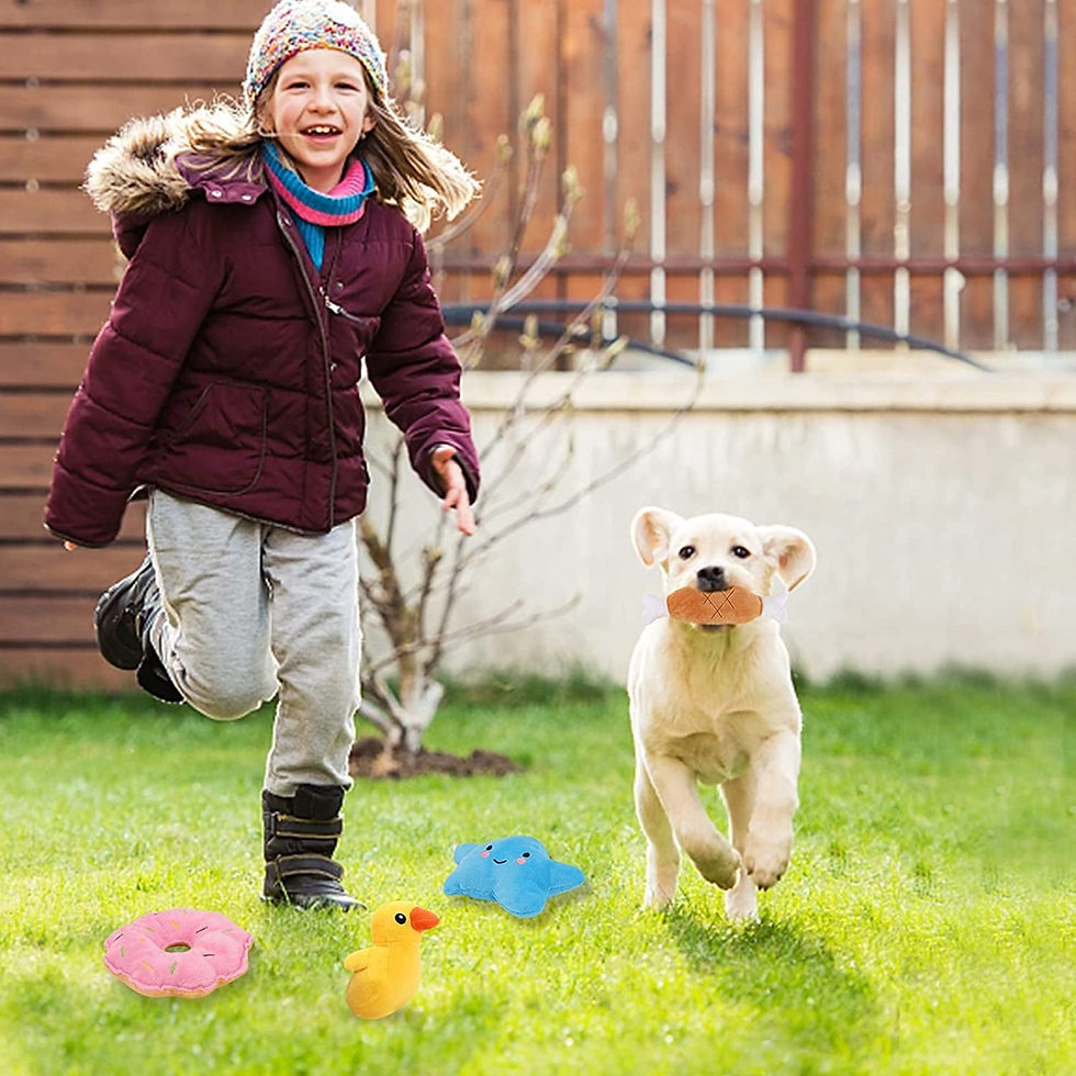 Thumbnail: Playful Pup Pack: Interactive Squeaky Toys for Small Dogs