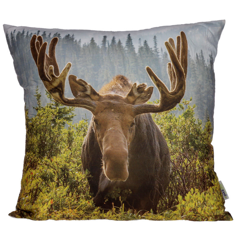 Novelty Cushion with Insert - Moose Photo 50 x 50cm Gift