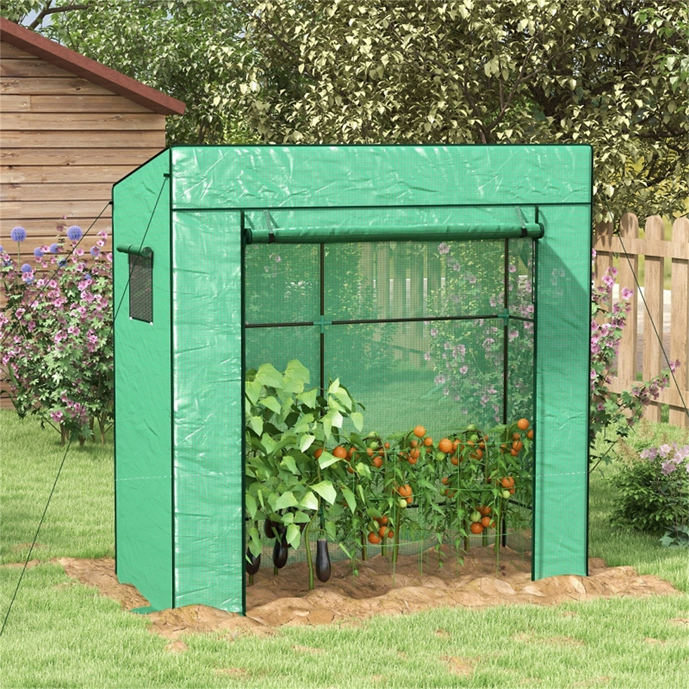 Thumbnail: Space-Saving Mini Walk-in Greenhouse for Home Gardeners