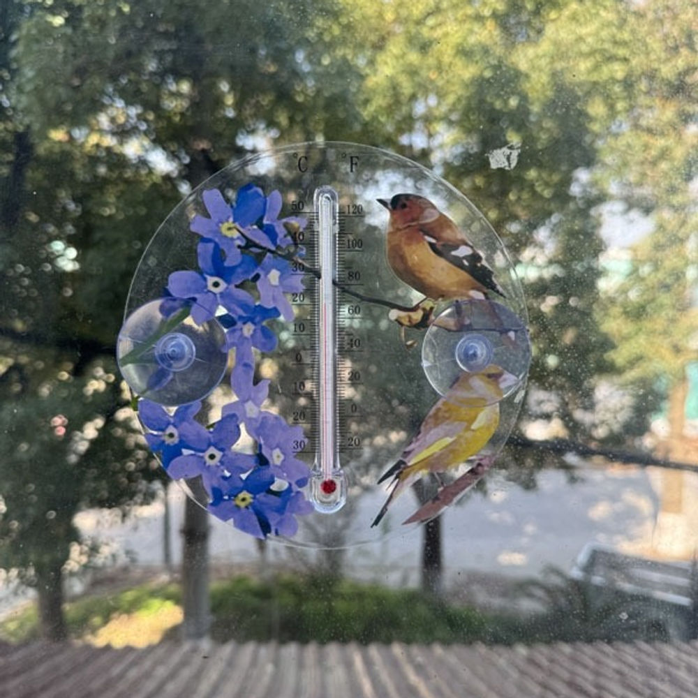 Outdoor Window Thermometer with Bird Design