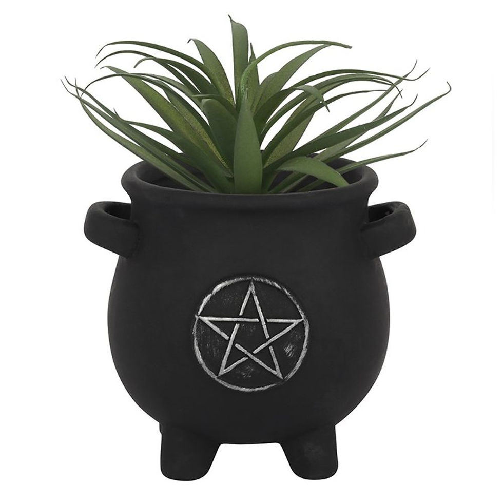 Thumbnail: Pentagram Cauldron Plant Pot