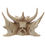 Thumbnail: New Collectors Collectable Dragon Skull Figurine UK [1]
