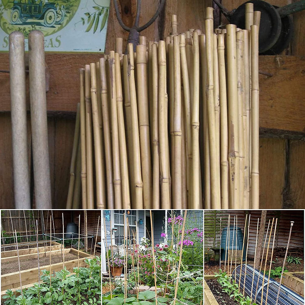 Thumbnail: 50 x 4FT Bamboo Canes Sticks 120cm