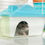 Thumbnail: Large Hamster Cage w/ Water Bottle, Exercise Wheel, Ramps - Blue