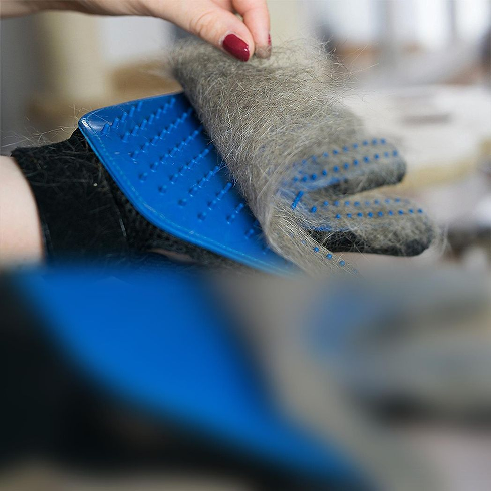 Thumbnail: Cat and Dog Grooming Gloves 1 Pair - Blue