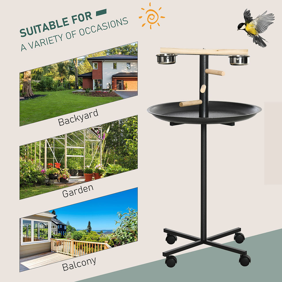 Thumbnail: Bird Play Stand Portable Feeder Station w/ Wooden Perches, Stainless Steel Bowls