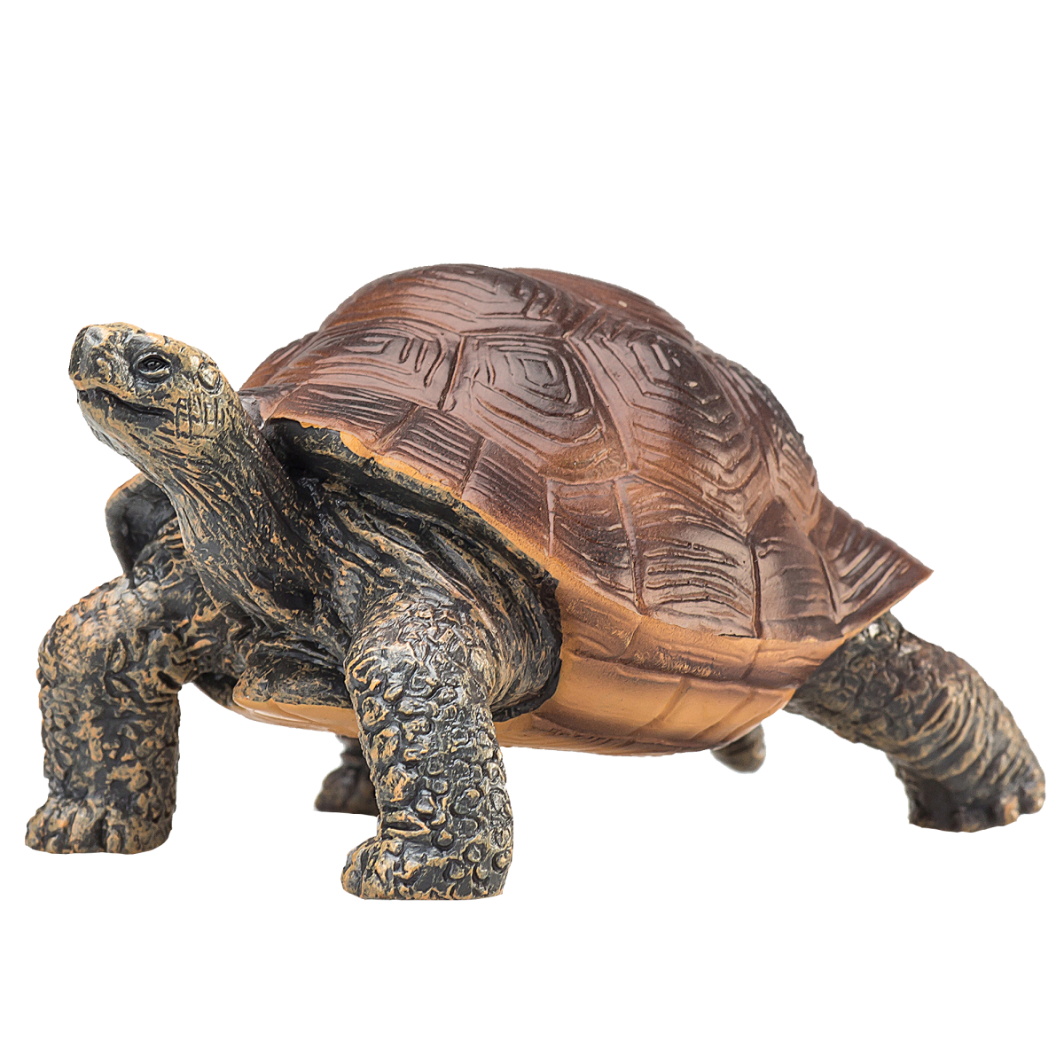 Giant Tortoise Toy – Realistic Reptile Model