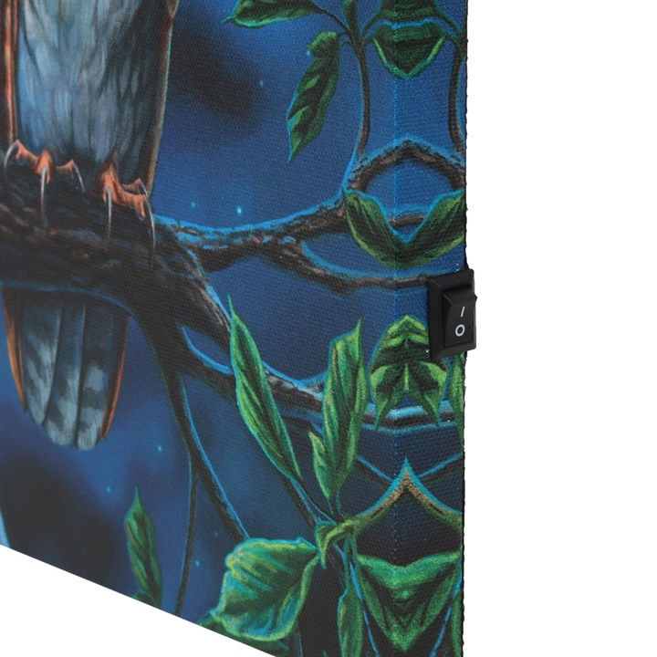Thumbnail: Fairy Tales Light Up Canvas Plaque by Lisa Parker