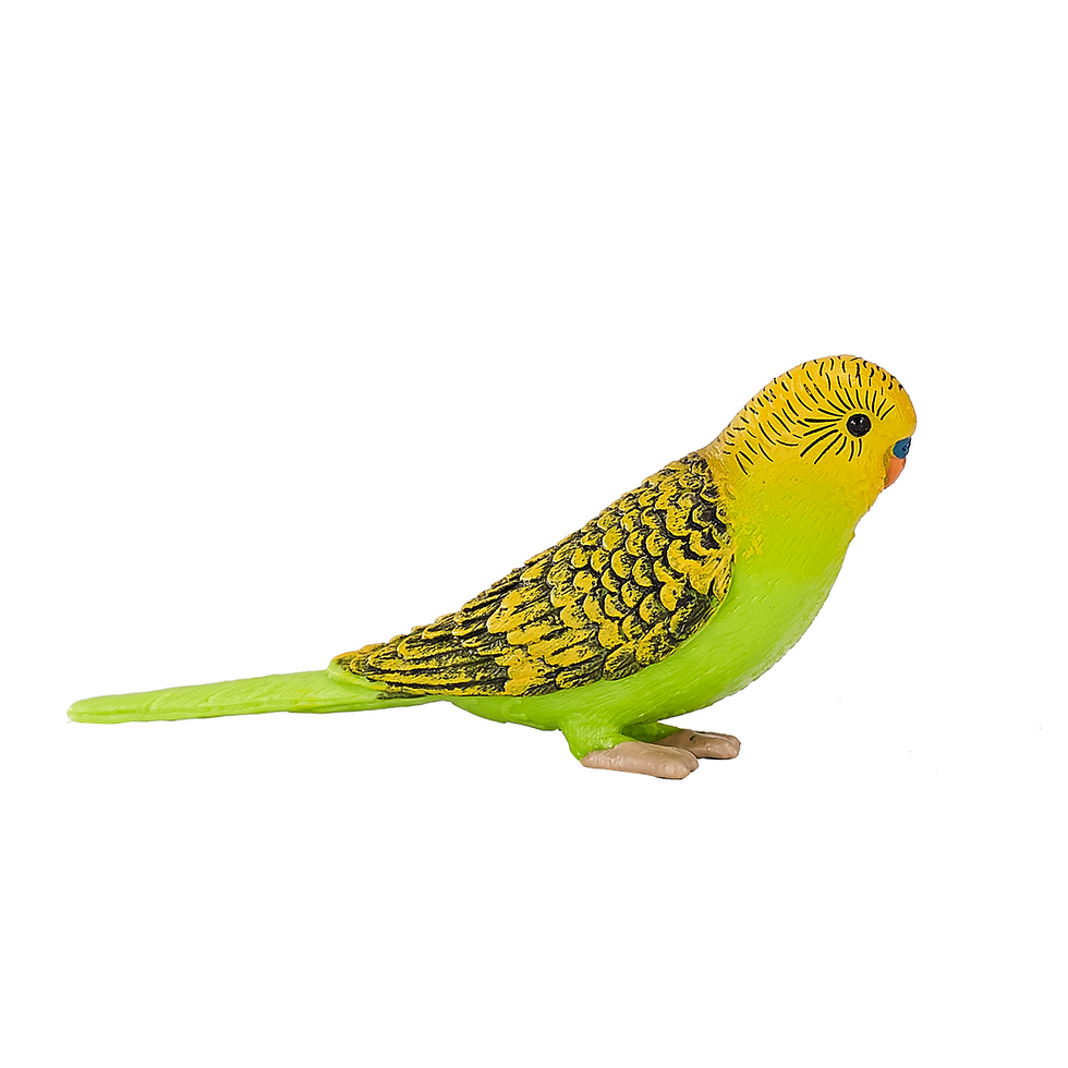 Thumbnail: Green Budgerigar Toy – Realistic Exotic Bird Figurine
