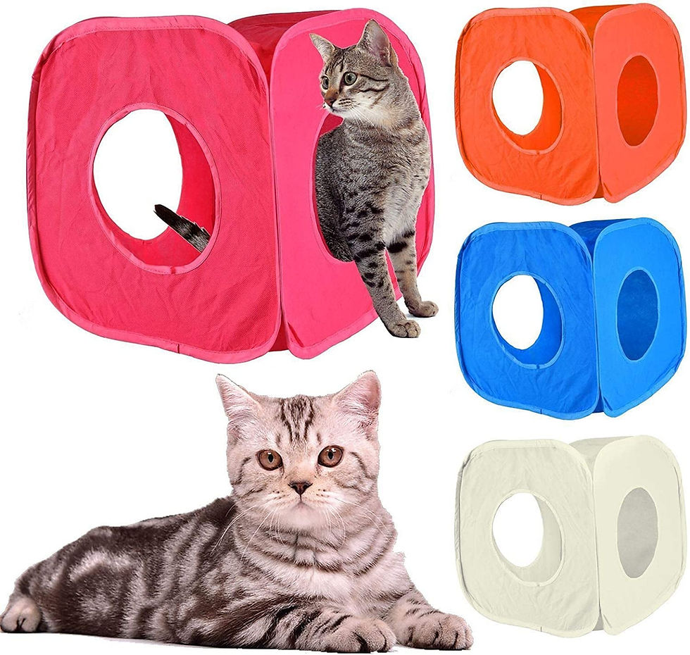 Thumbnail: Pop Up Cat Kitten Play Cube Fun Strong Box For Cat Rabbit Toy (Cream)