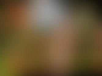 Giaan Rooney for Newscorp