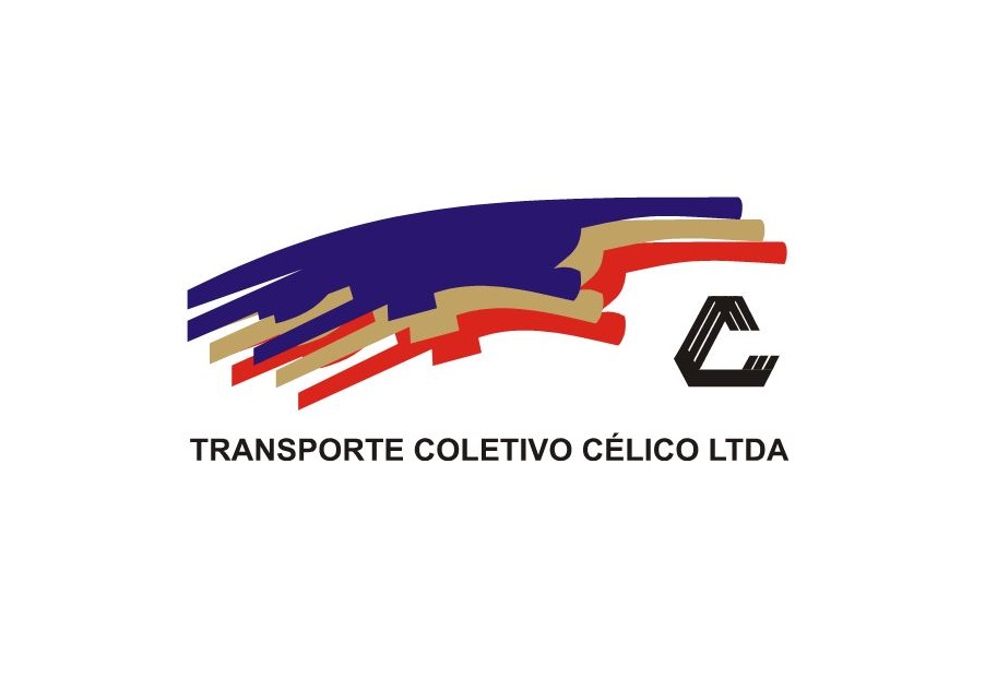 Resultado de imagem para celico onibus