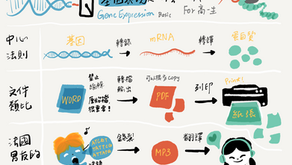 塗鴉筆記，塗出學習爆發力