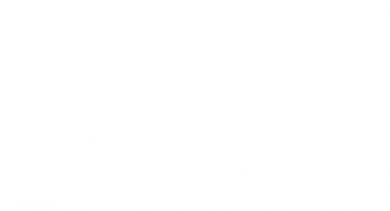 fond_carto_blanc.png
