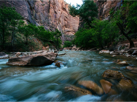 Let's Go Down Into the River: my metaphor for coaching