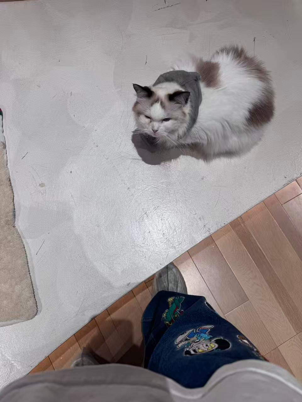 微信图片_20251024001613_168_288