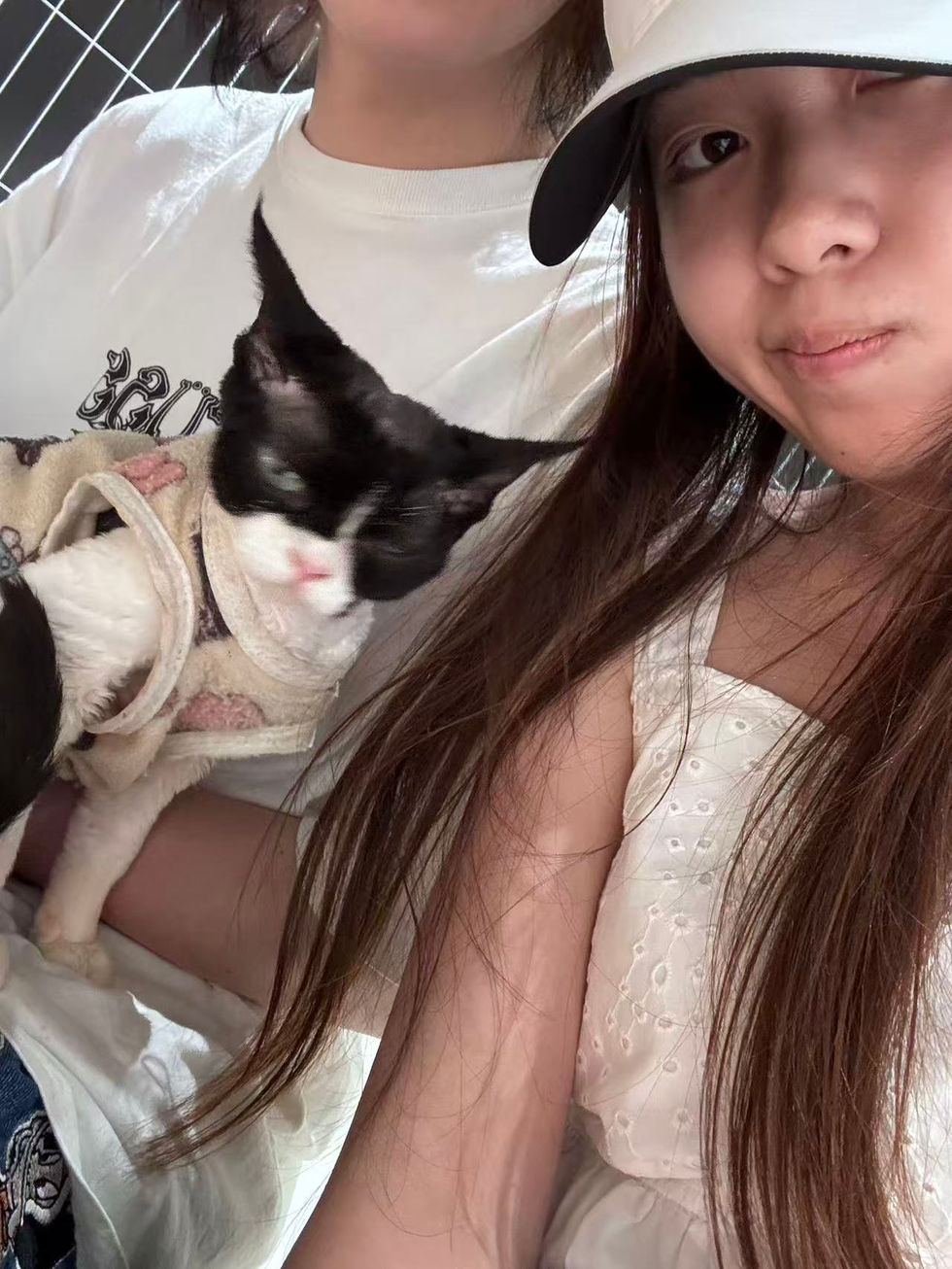 微信图片_20251024001646_197_288