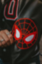 Miniatura: Jacket Spidey 🕸️