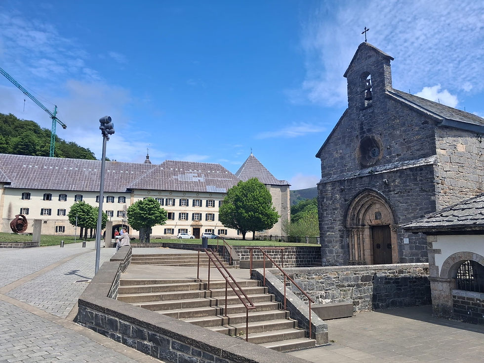 Dag 11 – Van Saint-Jean-Pied-de-Port naar Zubiri, over Roncesvalles