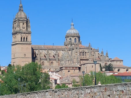 Dagen 29 en 30, 27-28/04/2025: bezoek aan SALAMANCA