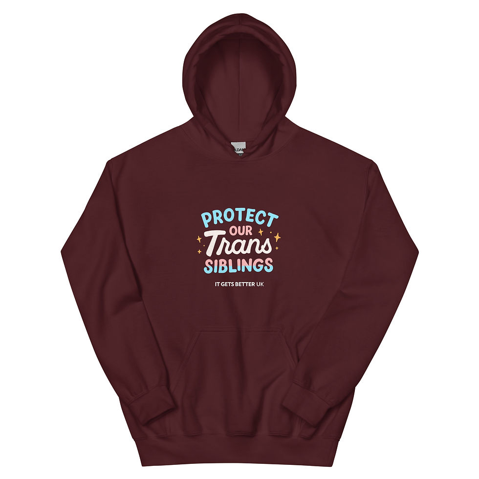 Thumbnail: Protect our Trans Siblings Unisex Hoodie