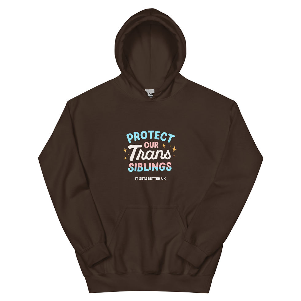 Thumbnail: Protect our Trans Siblings Unisex Hoodie