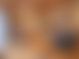 【見学会】美しい森の木でつくる 心地いい住まい。[アクトモデル・島田01]