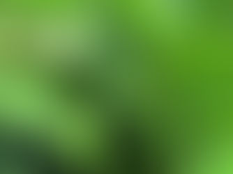 金柑(キンカン)にとってはプレッシャー？