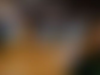 広角レンズに感動！