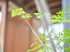 2023年に家を建てる皆様に5大特典![創業116周年] 記念キャンペーン