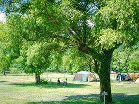 久々のキャンプ