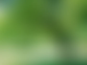 久々のキャンプ