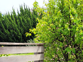 ゴールデンウィーク休業のお知らせ