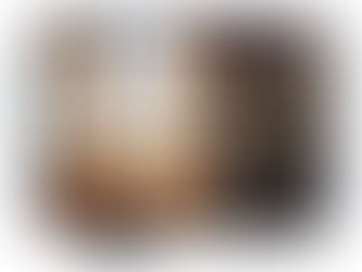 【見学会】金谷町家 見学会は毎月開催します！2020年10月15日