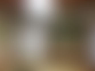 羽目板リフォーム【リフォーム施工事例】