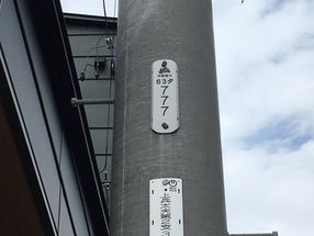 ラッキーな電柱