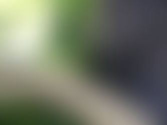 伊豆 畑毛温泉 大仙家の庭にて