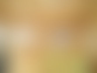 10月22日発行「建てるときに読む本」／「大井川の木が香り、安心が続く家」