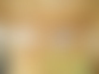 10月22日発行「建てるときに読む本」／「大井川の木が香り、安心が続く家」