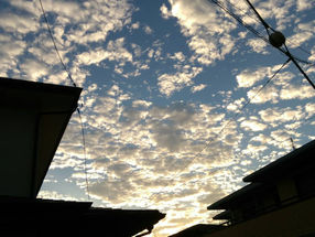 【アクトCafeイベント】6月23日カメラを持って出かけよう～いい写真てなんだろう？～