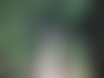 こんないいとこありました　in 島田(3)