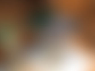 「大井川の木」の香りと温もりに　私たちらしい未来をブレンド ／ 家を建てるときに読む本・11/6 発行