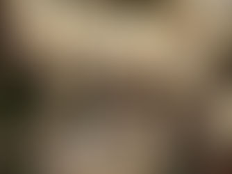 植物観察日記　2020年4月23日　レッドロビン開花