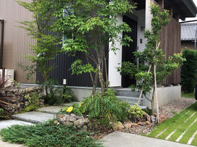 緑のガーデニング／心地よい 玄関アプローチ